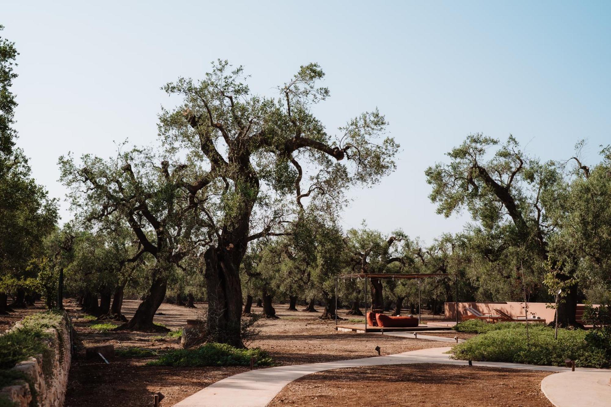 Ozio - Il Trullo Rosso Bed & Breakfast Fasano Dış mekan fotoğraf