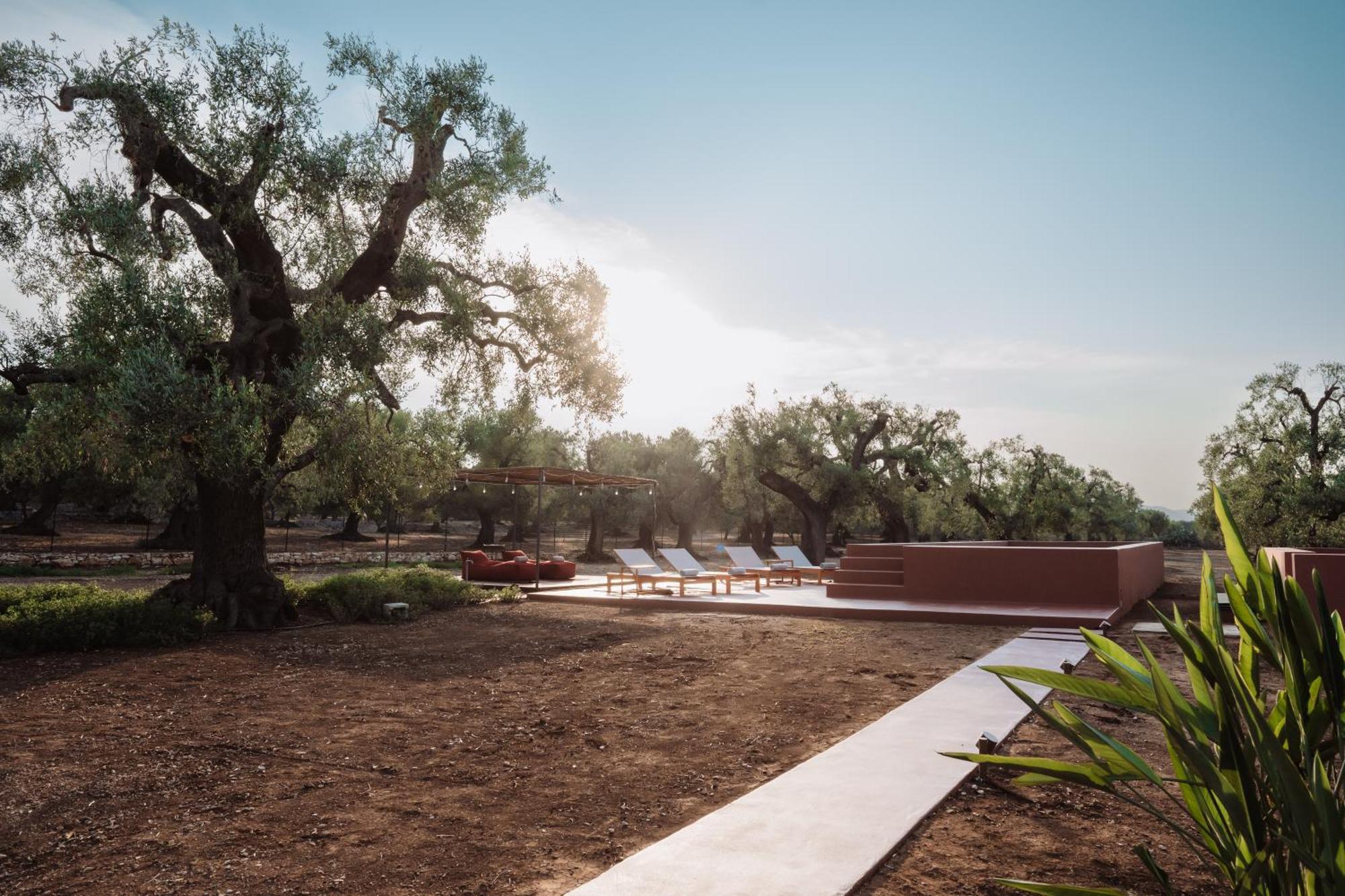 Ozio - Il Trullo Rosso Bed & Breakfast Fasano Dış mekan fotoğraf