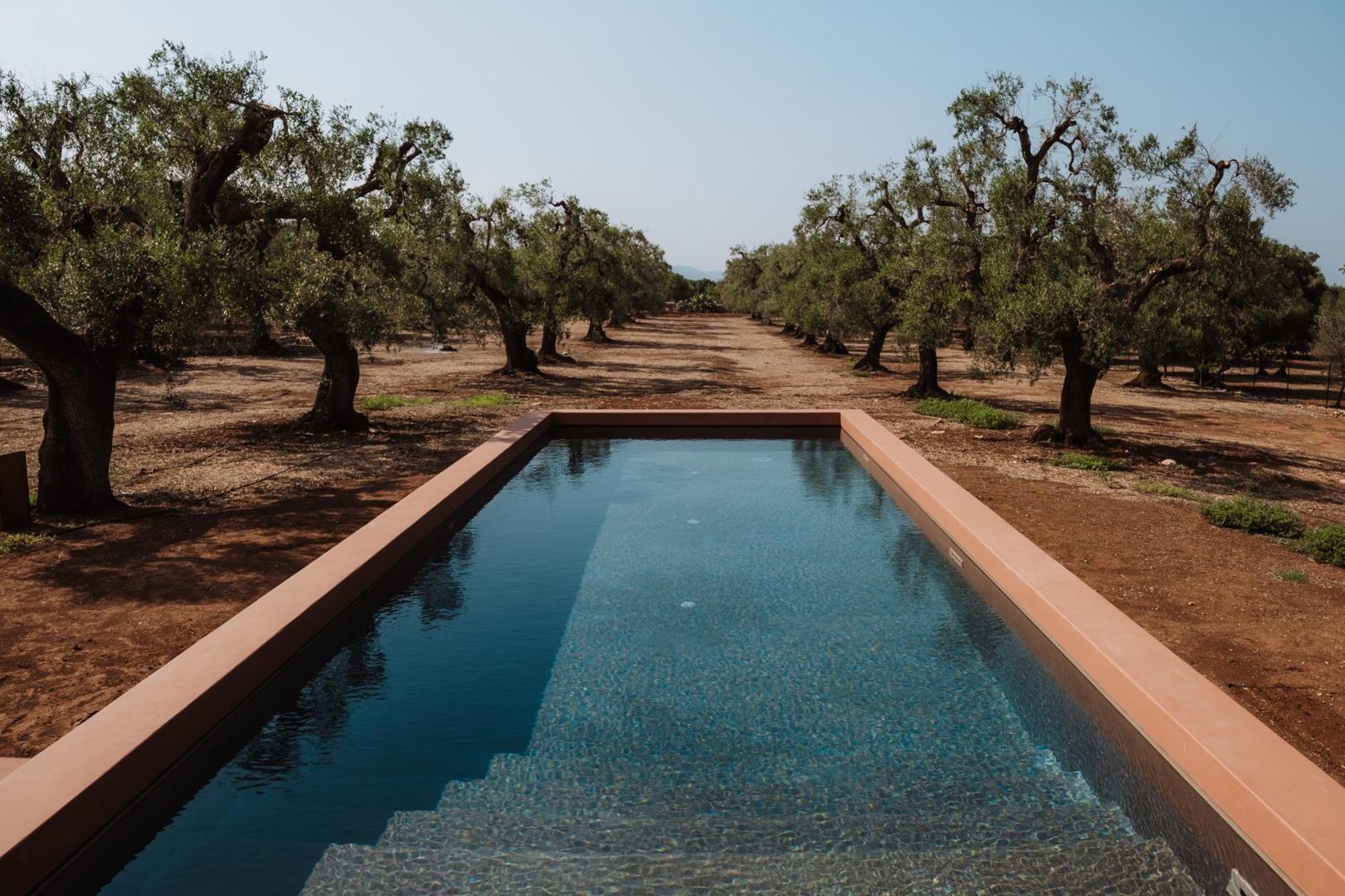 Ozio - Il Trullo Rosso Bed & Breakfast Fasano Dış mekan fotoğraf